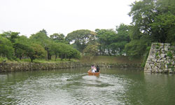 �Z���΂̌��Ԃ���V��t���������Ƃ���A�����E�������I�X�Ɖj���p�͊������̂�