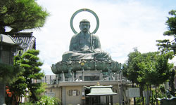 �����P�UM�̑啧���܂��A�������ɂ��傤�͏������������Ȃ�