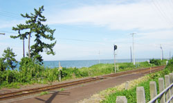 �J���C�݂���͓V�C���悯��Εx�R�p�z�ɗ��R�A��𒭂߂邱�Ƃ��ł���