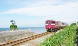 �������C�ݐ����Ђ�����