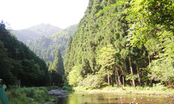 ���{�̌����i����������c���Ă�����R