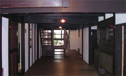 �L���L���͍]�ˎ���̂悤