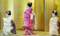 �؂₩�ȕ��W���񂽂��̋����u�Ԋ}�v