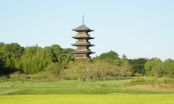 �܏d���i�R�S���j��������������