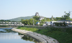 ����Ɖ��R��̒��߂͍ō��ł���