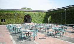 �z�e���E�A�C�r�[�X�N�G�A�̒���