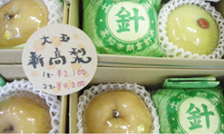 �q���̓����炢�̑傫���͂䂤�ɂ���r�b�O�T�C�Y�ŐV�����Ƃ���