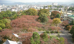 �g�t�������ԐF�Â��Ă����悤��