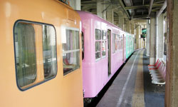 �I�����W�E�s���N�E�O���[���ƃJ���t��