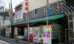 �V�܂̑�{���|��